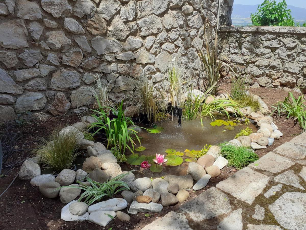 Agoriani Art Suite - 4 Seasons' Natural Living Liléa Kültér fotó